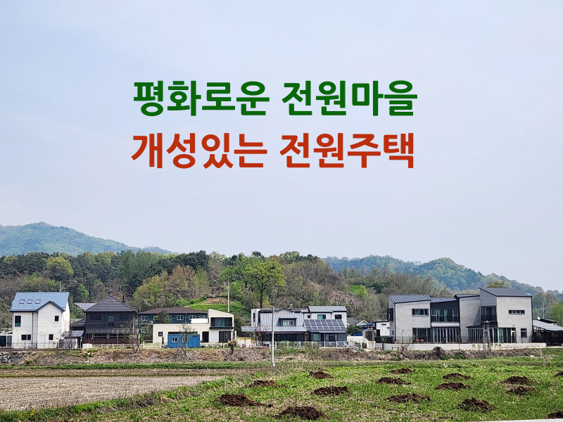 평화로운 전원 마을의 각자의 개성을 나타내는 다양한 주택